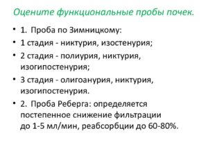 Почки функциональные пробы