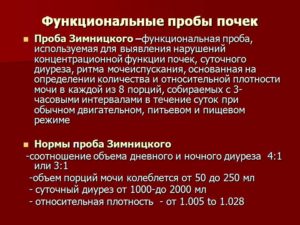 Почки функциональные пробы