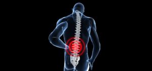 Почки суставы связь