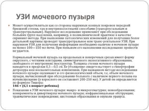 Подготовка к узи почек мочевого пузыря и предстательной железы