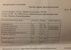 Показатели работы почек в биохимическом анализе крови