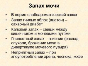 Преследует запах мочи