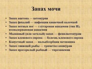 Преследует запах мочи