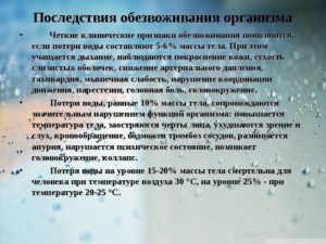 При обезвоживании организма почки выводят из организма мочу