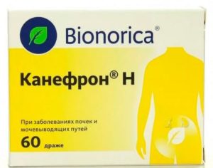 При почечной колике канефрон