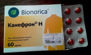 При почечной колике канефрон