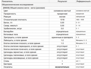В моче бактерии и повышенные лейкоциты в