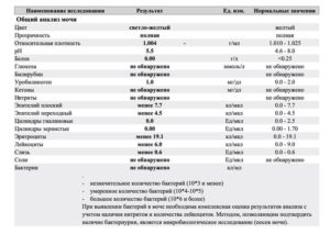 В моче бактерии и повышенные лейкоциты в