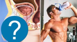 Влияние почек на потенцию