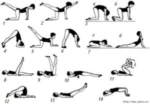 Упражнения для поднятия почек в домашних