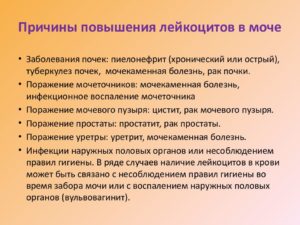 Высокие лейкоциты в моче у мужчин причины