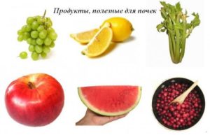 Вредные продукты для почек и мочевого пузыря