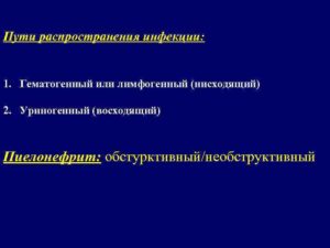 Восходящий путь инфицирования при пиелонефрите