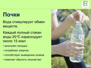 Вода и почки