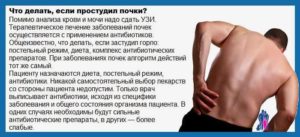 Температура и болит почка что делать в домашних условиях