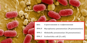 Стрептококковый уретрит у мужчин