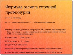 Суточная потеря белка с мочой
