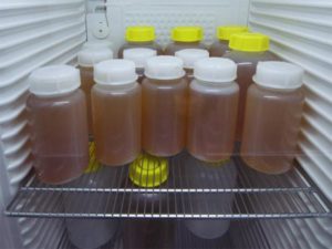 Сколько времени можно хранить мочу для анализа