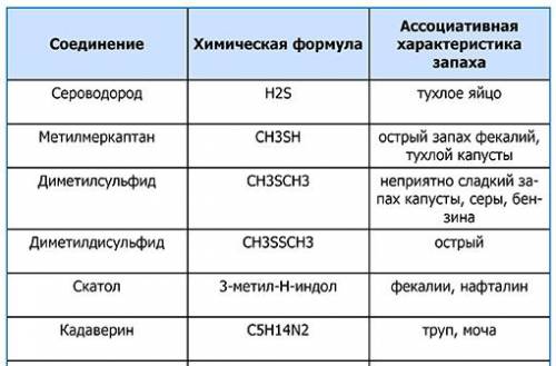 Характеристики запаха мочи